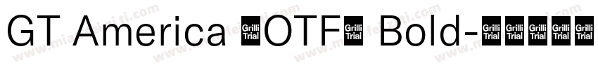 GT America (OTF) Bold字体转换
